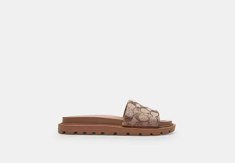 Brynn Slide Sandal